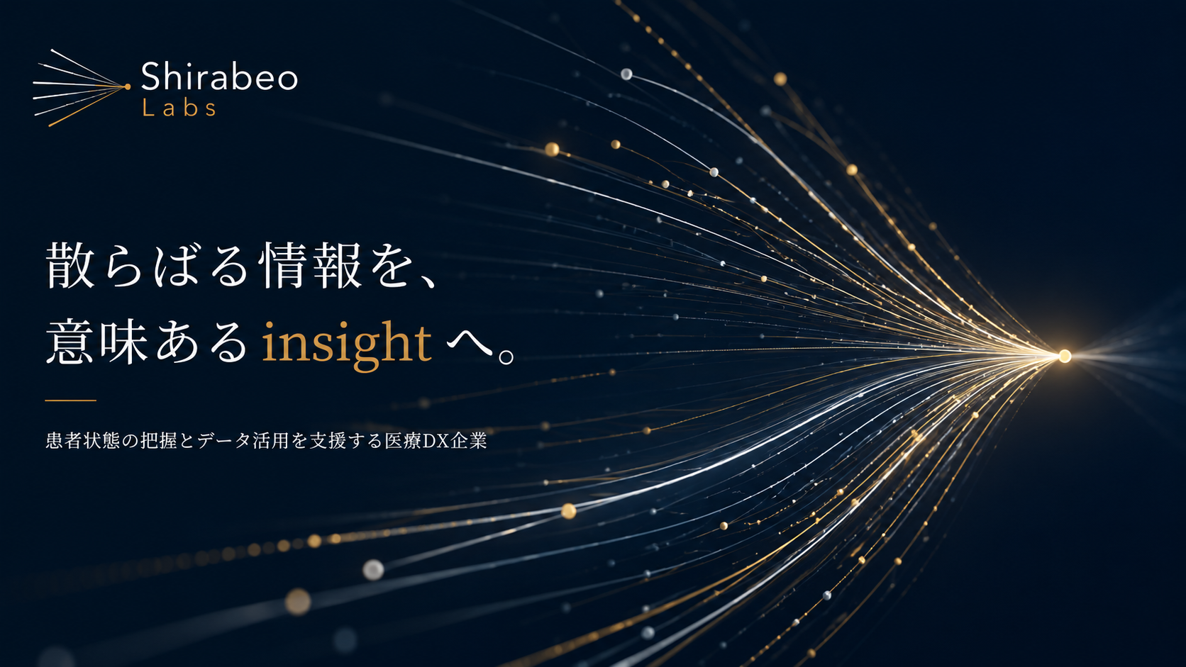 Shirabeo Labs。散らばる情報を、意味ある insight へ。患者状態の把握とデータ活用を支援する医療DX企業。
